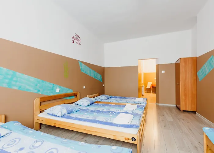 بيت شباب Tara