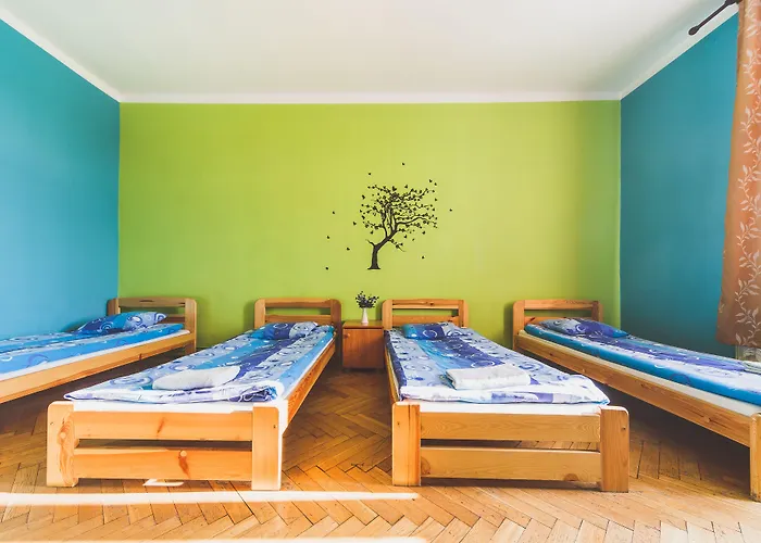 Tara بيت شباب كراكوفيا