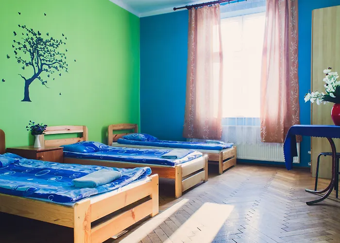 بيت شباب Tara