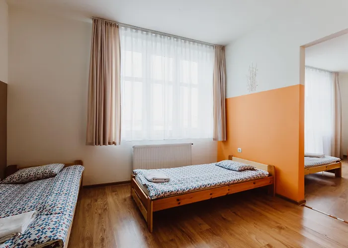 Tara * كراكوفيا