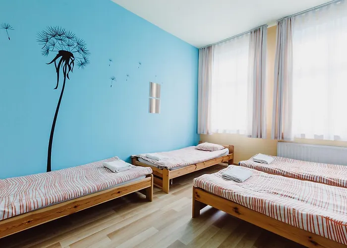 بيت شباب Tara