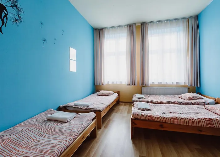 بيت شباب Tara