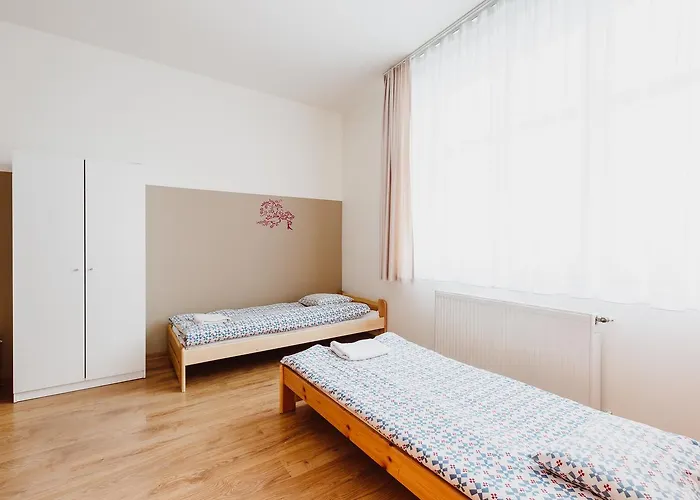 بيت شباب Tara *