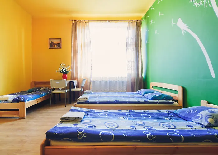 Tara بيت شباب